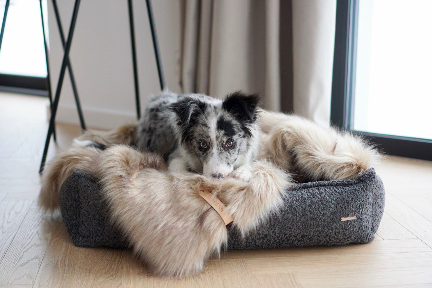 Hundebetten