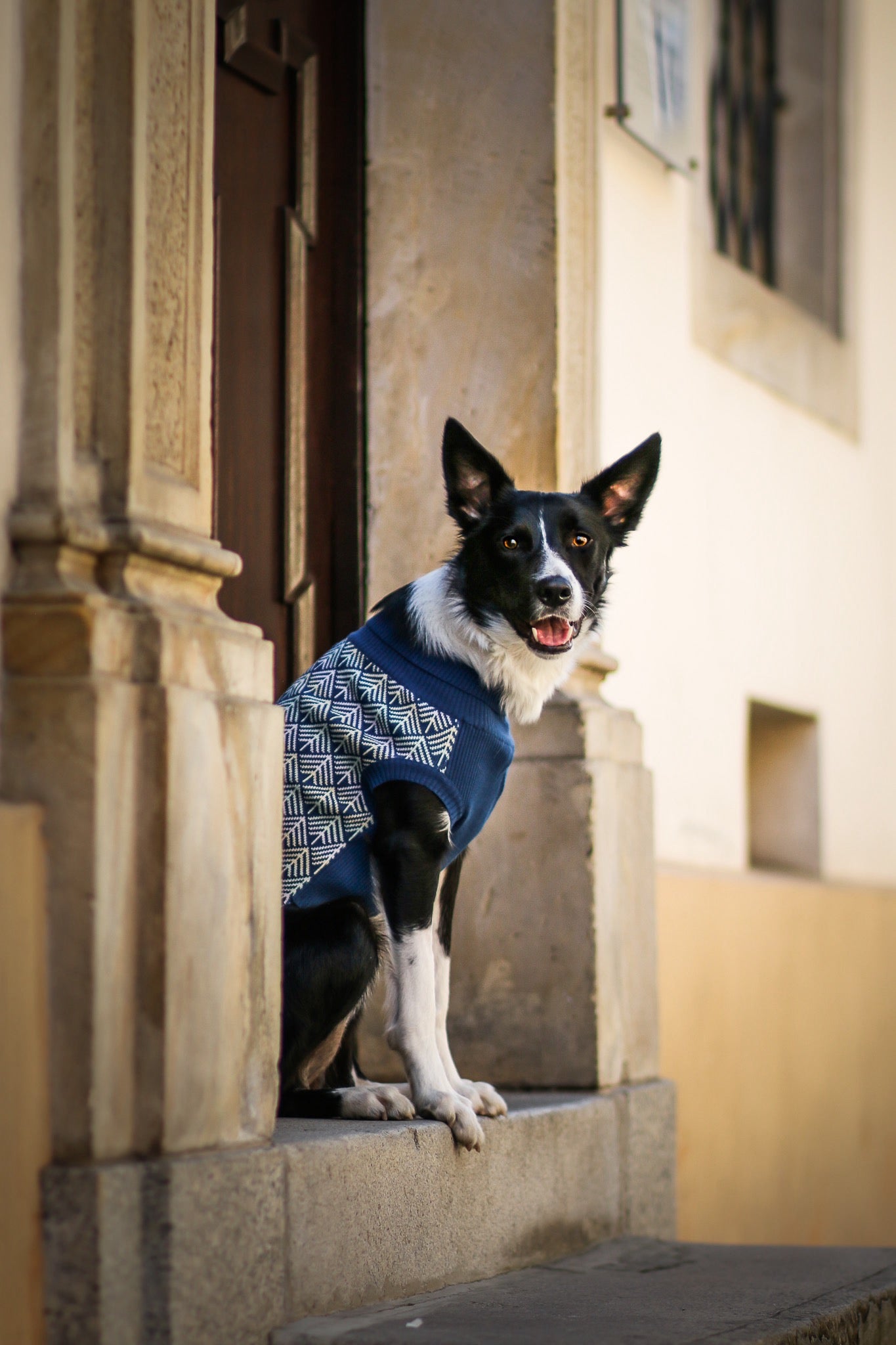 Pullo Sweater - Navy Blue