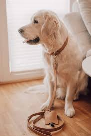 Lussa & Saku Set - Camel